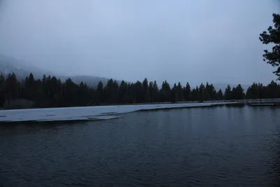 DSC_5811 (Large).JPG